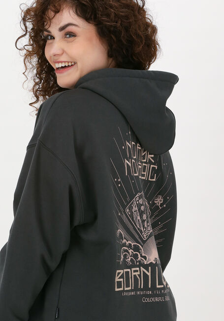 Graue COLOURFUL REBEL Sweatshirt BORN LUCKY EMBRO OVERSIZED HOO - large