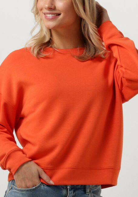 Orangene MSCH COPENHAGEN Sweatshirt MSCHIMA Q SWEATSHIRT - large