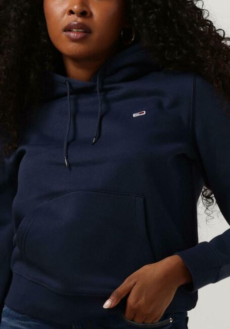 Blaue TOMMY JEANS Pullover TJW REGULAR FLEECE HOODIE - large
