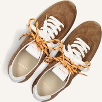 Cognacfarbene NUBIKK Sneaker Low BILLY LOU Cognacfarbene NUBIKK Sneaker Low BILLY LOU - medium