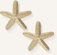 Goldfarbig NOTRE-V Ohrringe EARRING SEA STAR - medium