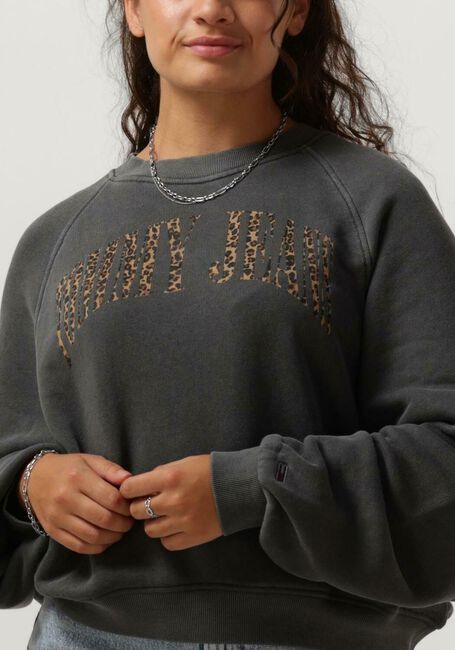 Dunkelgrau TOMMY JEANS Pullover TJW RLX LEO CREW - large