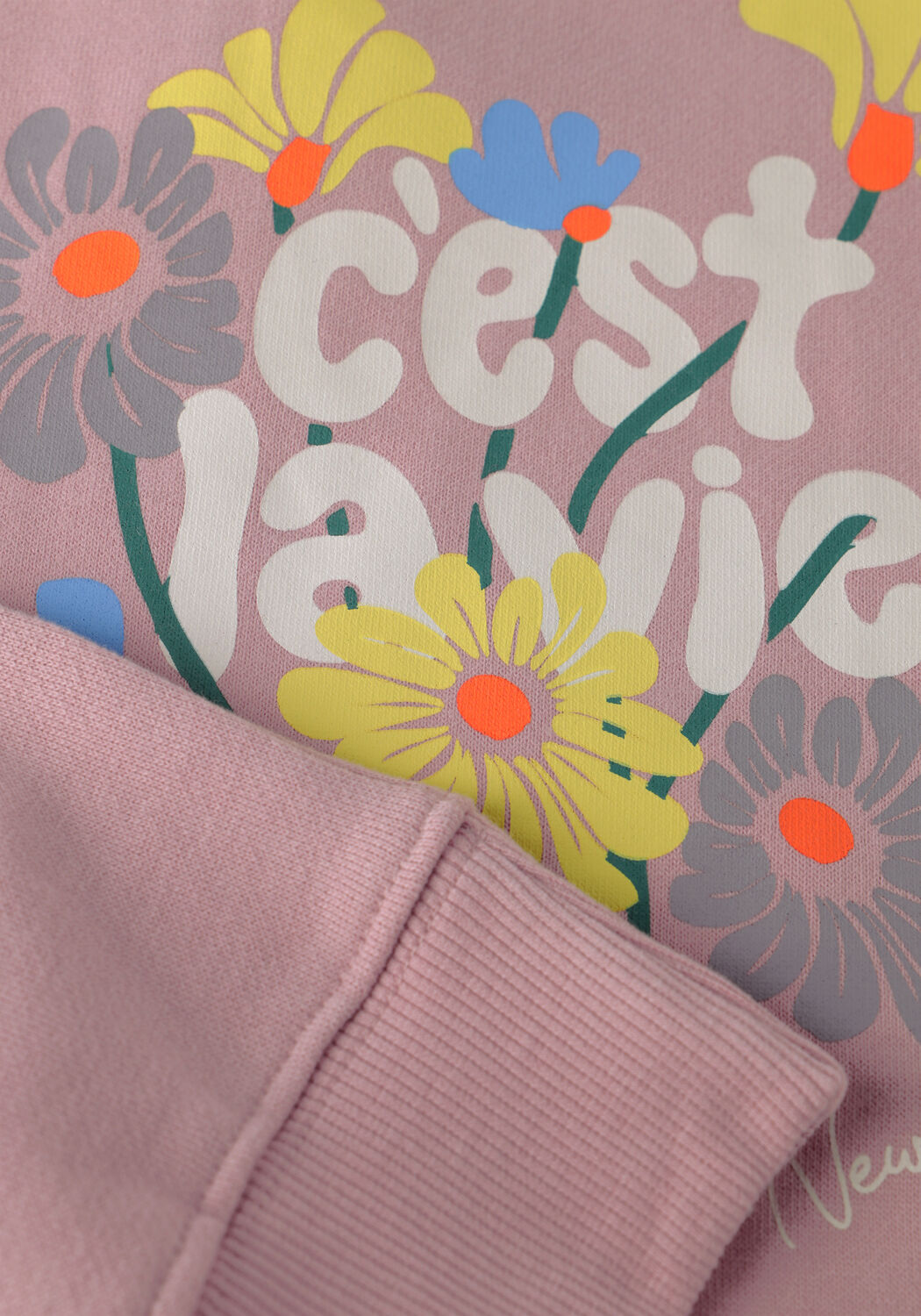 Rosane THE NEW Sweatshirt TNSANDY - large