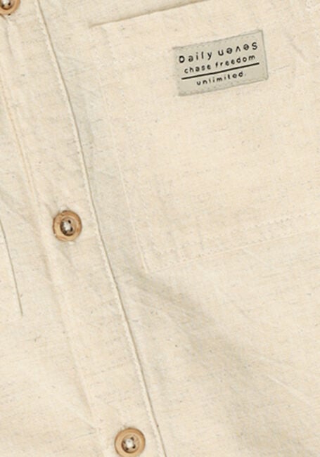 Graue DAILY7 Kurze Hose COTTON STRIPE SHORTS - large