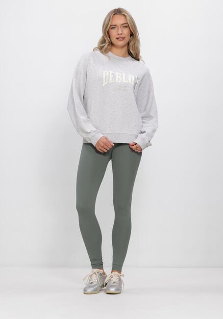 Hellgrau DEBLON SPORTS Sweatshirt LIOR SWEATER - large
