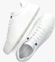 Weiße VAN LIER Sneaker low 2417410 - medium