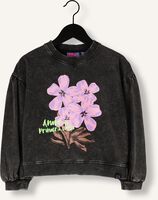 Anthrazit Z8 Pullover RAISSA Anthrazit Z8 Pullover RAISSA - medium