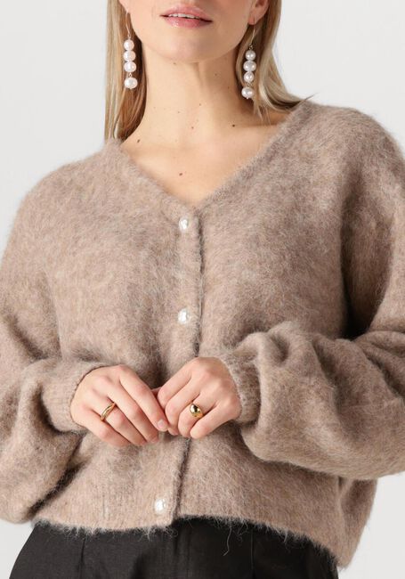 Beige GESTUZ Strickjacke SANAGZ CARDIGAN - large