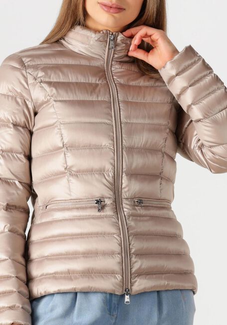 Bronzefarbig BEAUMONT Jack LILA JACKET - large