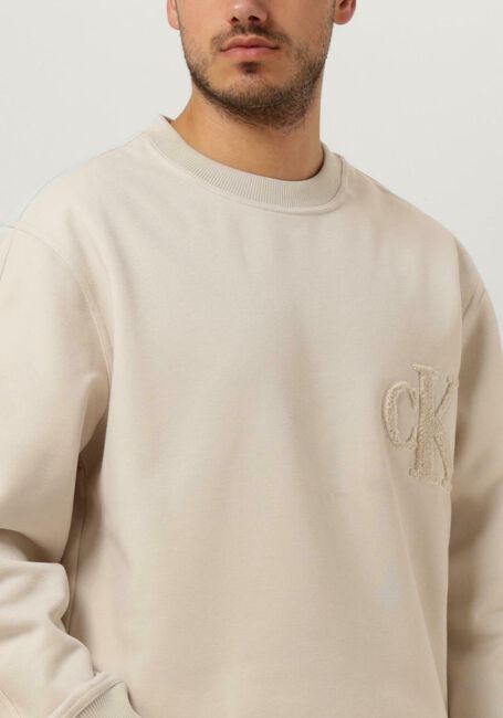 Nicht-gerade weiss CALVIN KLEIN Sweatshirt CK CHENILLE CREW NECK - large