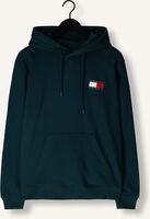 Grüne TOMMY JEANS Pullover & Cardigans TJM REG ESSENTIAL FLAG HOOD EXT Grüne TOMMY JEANS Pullover & Cardigans TJM REG ESSENTIAL FLAG HOOD EXT - medium