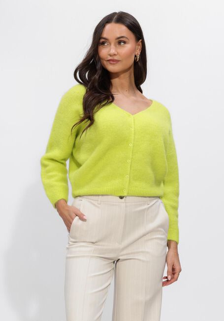 Gr&uuml;ne BEAUMONT Strickjacke PENNY CARDIGAN - large