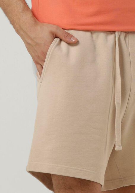 Beige TOMMY JEANS Kurze Hose TJM XS BADGE CARGO BEACH SHORT - large