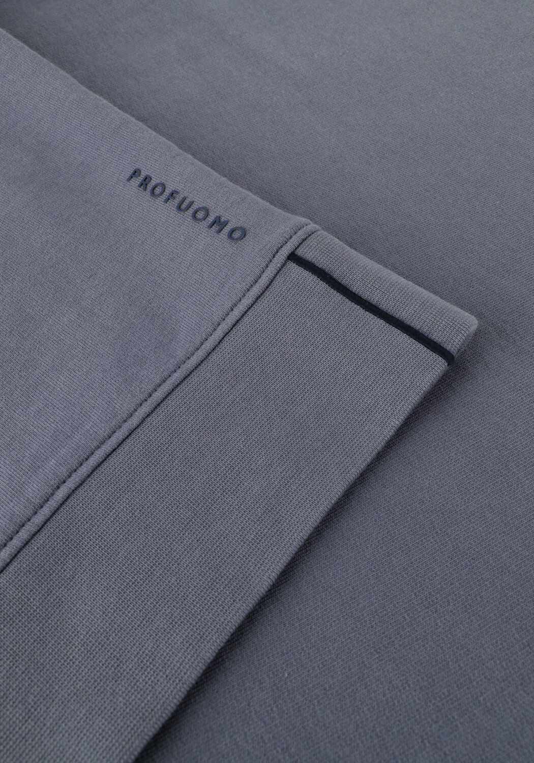 Hellblau PROFUOMO Sweatshirt PPUJ10041 - large