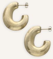 Goldfarbig NOTRE-V Ohrringe EARRING#5 - medium