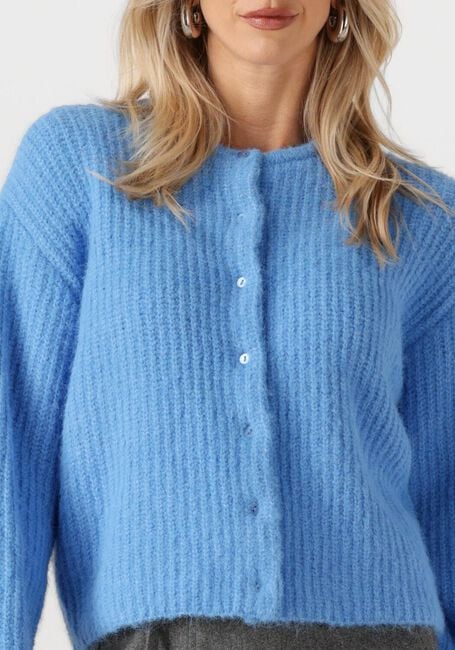 Blaue EDITED Strickjacke ILIANA - large