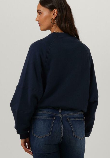 Dunkelblau TOMMY JEANS Pullover RLX WORLDWIDE RAGLAN CREW - large