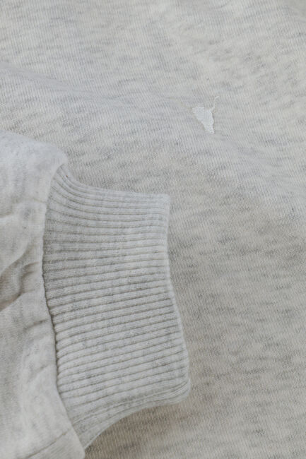 Hellgrau ALIX MINI Minikleid SWEAT RUFFLE DRESS - large