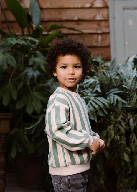 Grüne DAILY7 Sweatshirt SWEATER OVERSIZED STRIPE - large