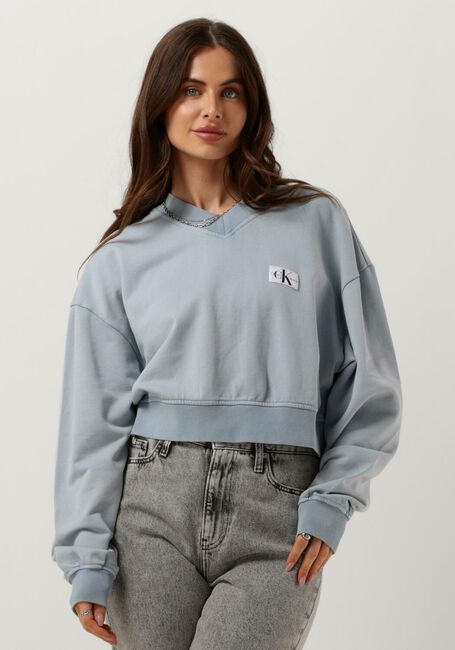 Hellblau CALVIN KLEIN Pullover WOVEN LABEL WASHED V-NECK - large