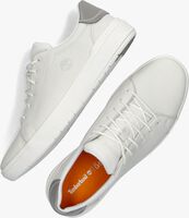 Weiße TIMBERLAND Sneaker low SENECA BAY OXFORD - medium