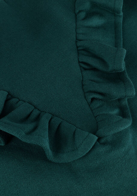 Grüne AMMEHOELA Sweatshirt AM.PHILOU.21 - large