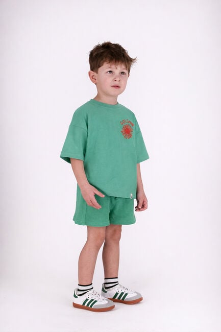 Gr&uuml;ne THE NEW CHAPTER T-shirt T-SHIRT BO - large