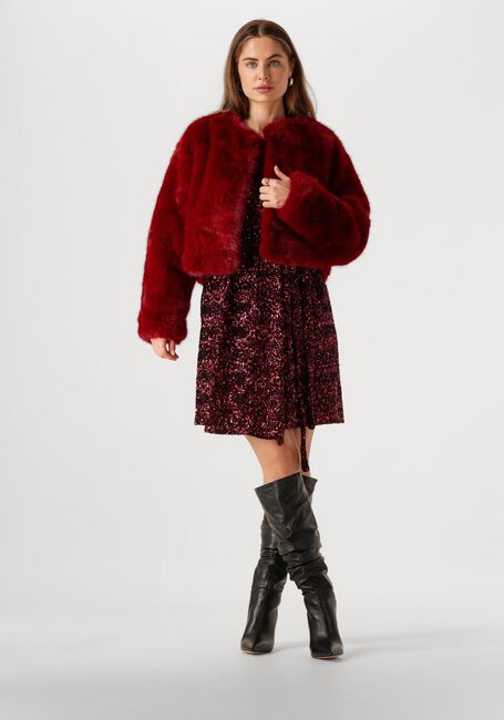 Bordeaux OMODA ATELIER Minikleid X IRIS - ILSE - large