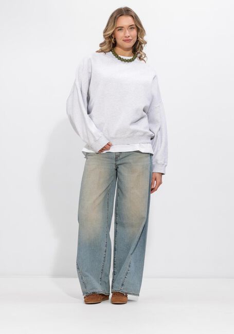 Hellgrau COUCOU Sweatshirt JOSEPH SWEATER - large