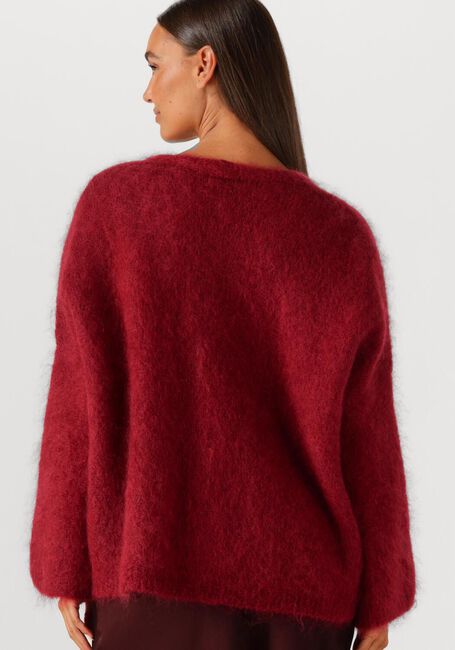 Bordeaux AMAYA AMSTERDAM Pullover & Cardigans ROOS - large