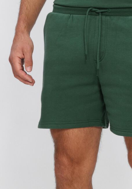 Gr&uuml;ne TOMMY JEANS Kurze Hose TJM S FLAG BEACH SHORT EXT - large