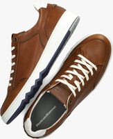 Cognacfarbene FLORIS VAN BOMMEL Sneaker low SFM-10183 - medium
