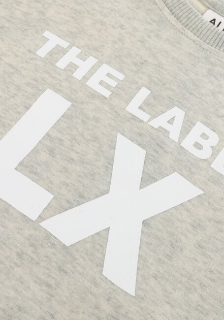 Hellgrau ALIX MINI Sweatshirt SPORTY SWEATER - large