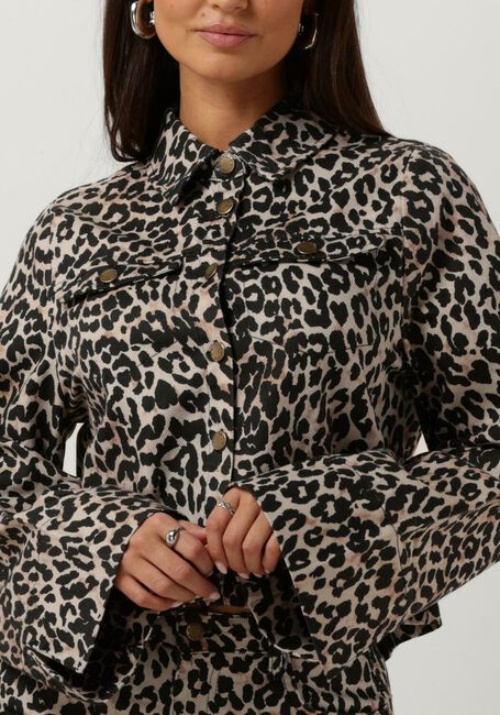 Leopard HARPER & YVE Jack LEXIE-JA - large