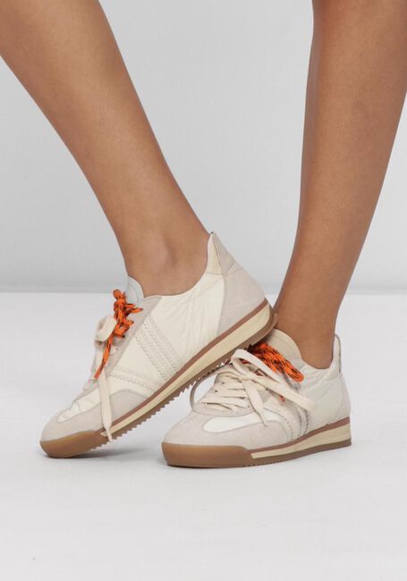 Beige STEFANO LAURAN Sneaker Low 1BACK107 - large