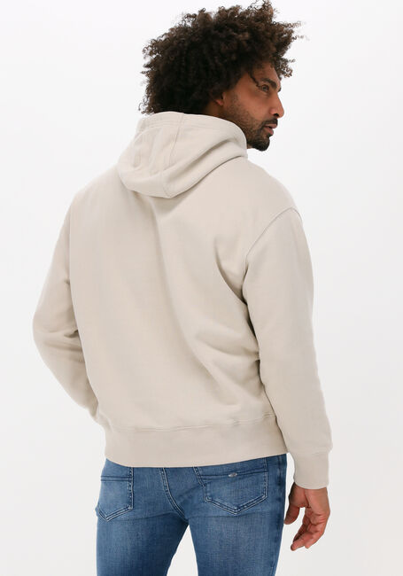 Beige TOMMY JEANS Sweatshirt TJM SIGNATURE HOODIE - large