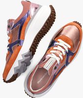 Orangene FLORIS VAN BOMMEL Sneaker low SFW-10111 - medium