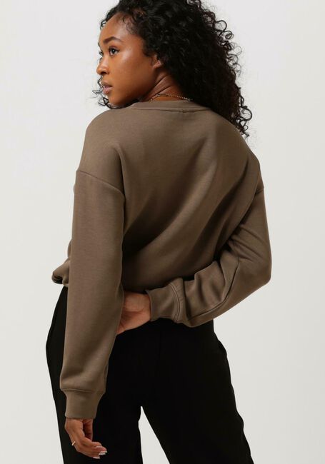Braune MSCH COPENHAGEN Sweatshirt BIANNA IMA Q SWEATSHIRT - large