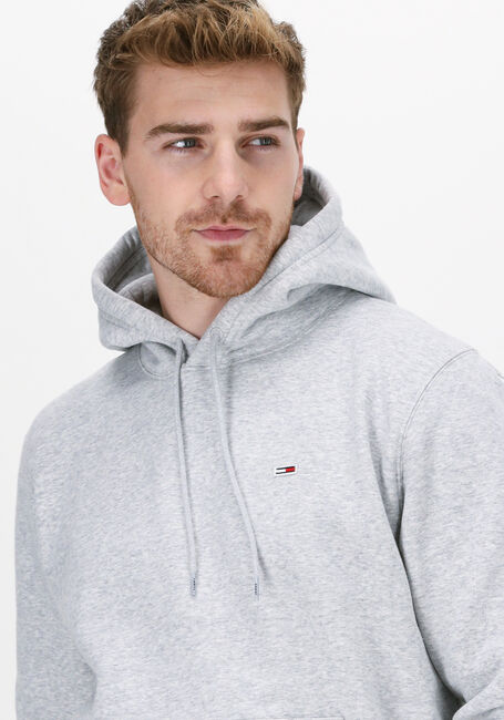 Hellgrau TOMMY JEANS Sweatshirt TJM REGULAR FLEECE HOODIE - large