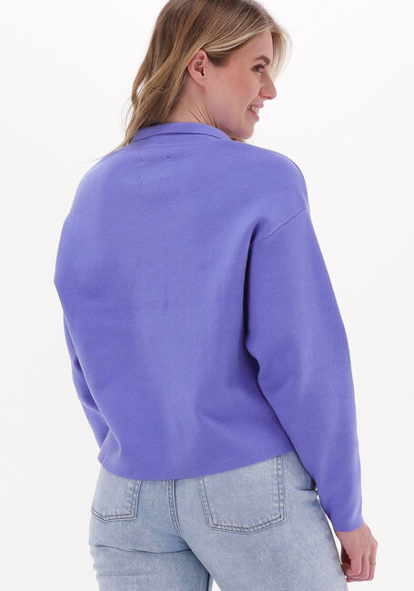 Lilane ANOTHER LABEL Pullover CLEO KNITTED PULL - large