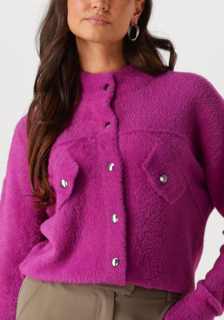 Lilane JANSEN AMSTERDAM Strickjacke P263 VEST BENJA - large
