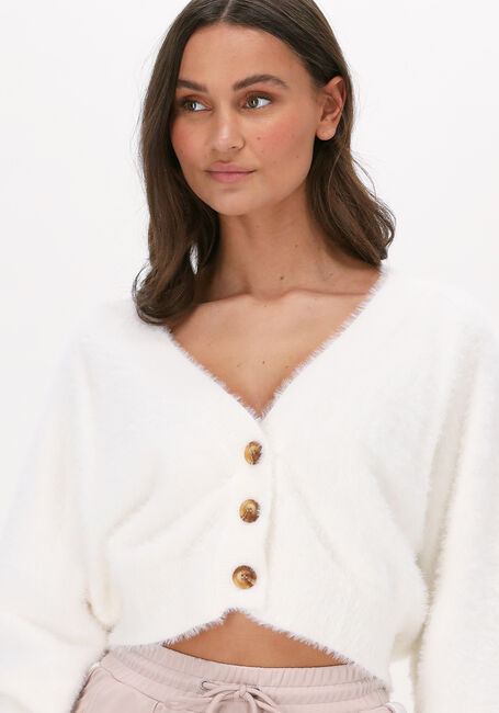 Beige COLOURFUL REBEL Strickjacke AURORA KNITTED CROPPED CARDIGAN - large