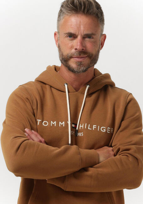 Braune TOMMY HILFIGER Sweatshirt TOMMY LOGO HOODY - large