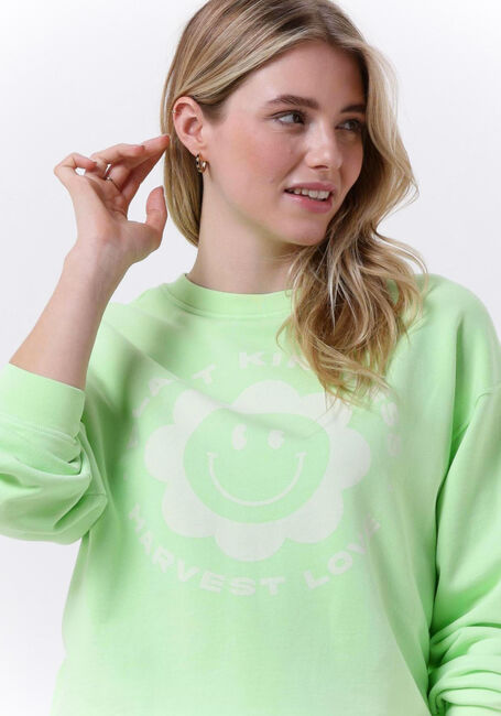 Grüne CATWALK JUNKIE Pullover SW HARVEST LOVE - large