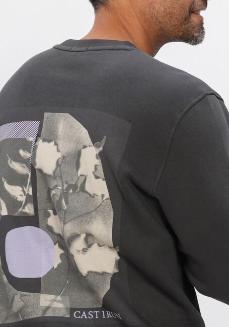 Dunkelgrau CAST IRON Sweatshirt RELAXED FIT GRAPHIC - large