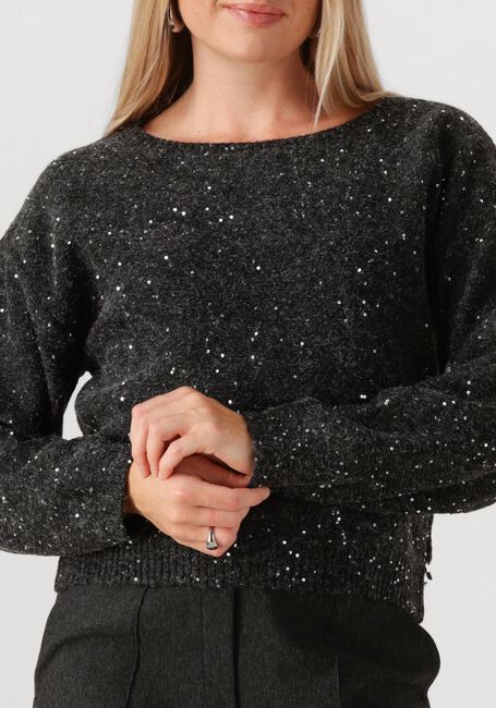 Dunkelgrau JANSEN AMSTERDAM Pullover ANOUK TRUI HK 151 ROUND NECKLINE - large