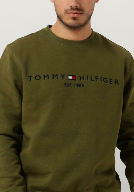 Dunkelgrün TOMMY HILFIGER Sweatshirt TOMMY LOGO SWEATSHIRT - large