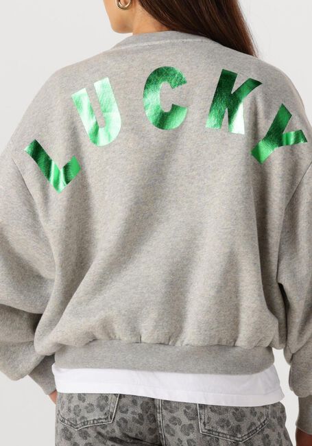 Graue BY-BAR Pullover BIBI LUCKY CURVE SWEATER - large