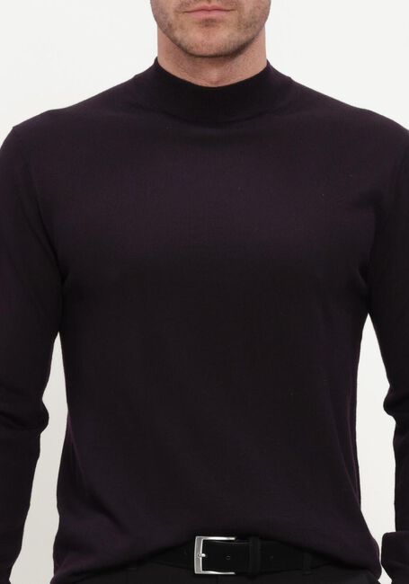 Bordeaux STEFANO LAURAN Pullover TURTLE NECK MERINO - large