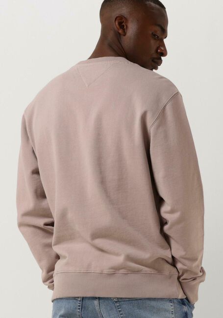Beige TOMMY JEANS Sweatshirt TJM REG SMALL VARSITY CREW - large